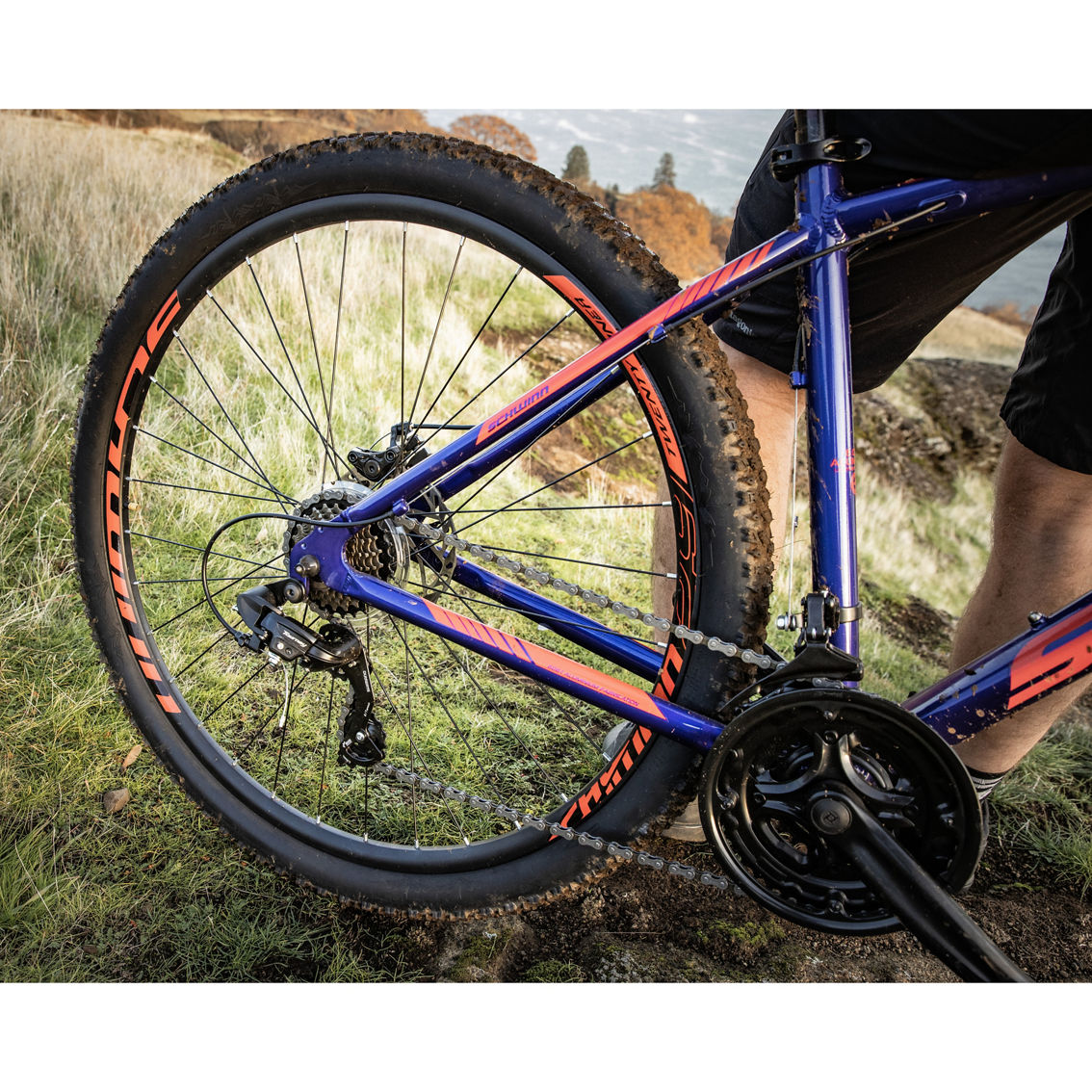 2241886_1191_alt8:2000-full-