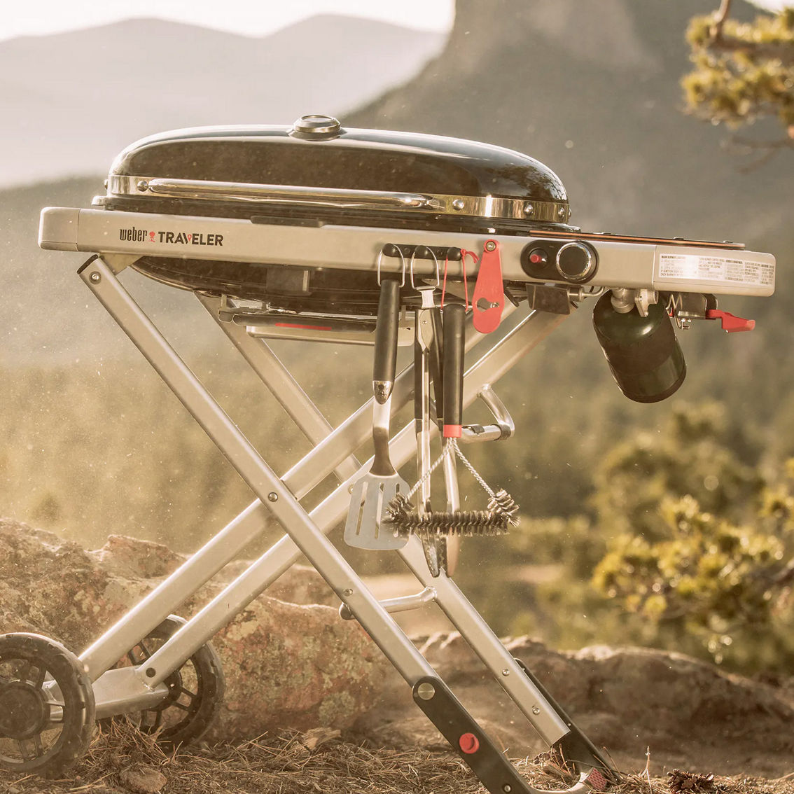 2492690_SYU4_alt1-2:2000-full-