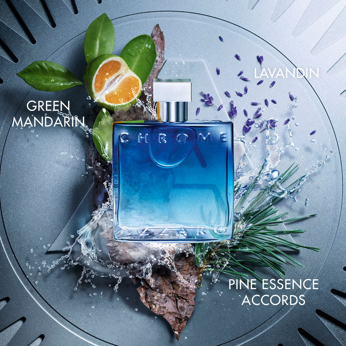 3193198_0000_alt1:2000-full-