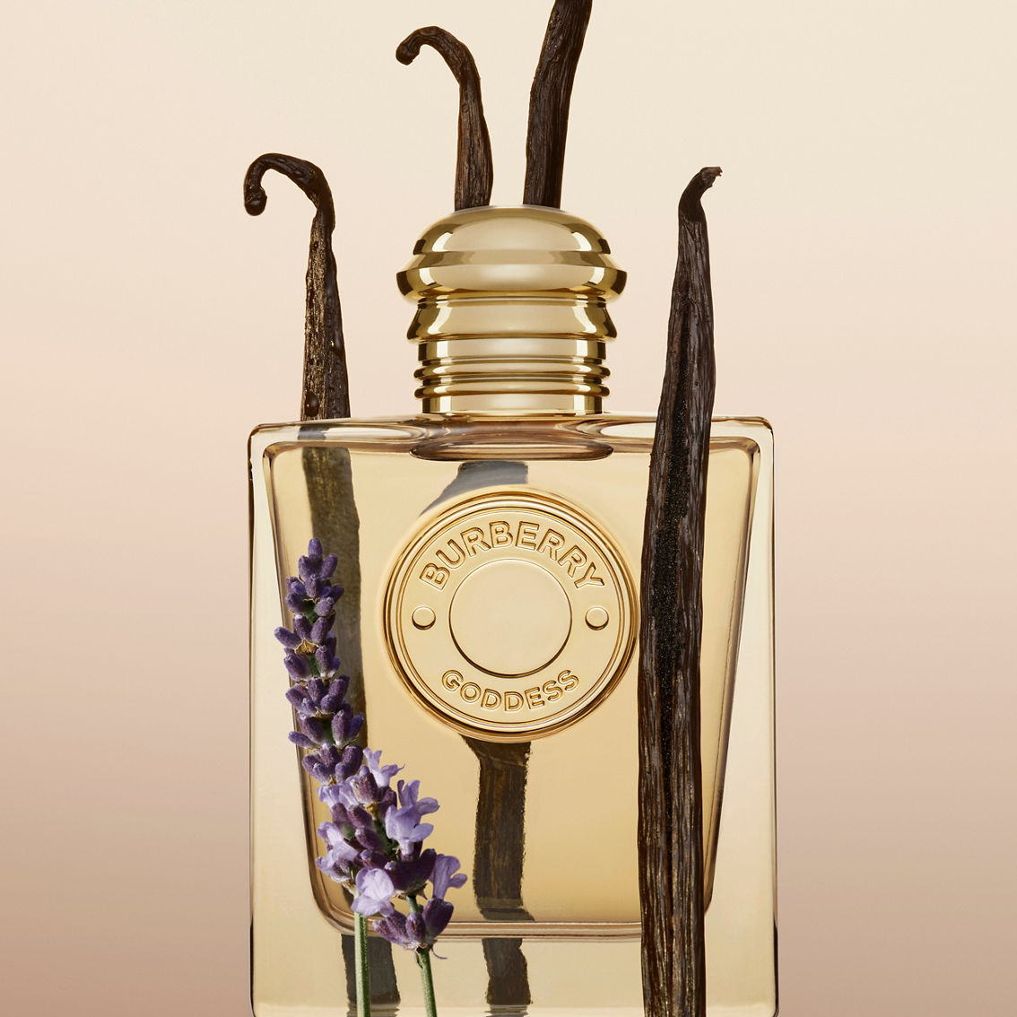香水(女性用) BURBERRY GODDESS Eau de Parfum 100ml Goddess Eau de Parfum for Women 100ml