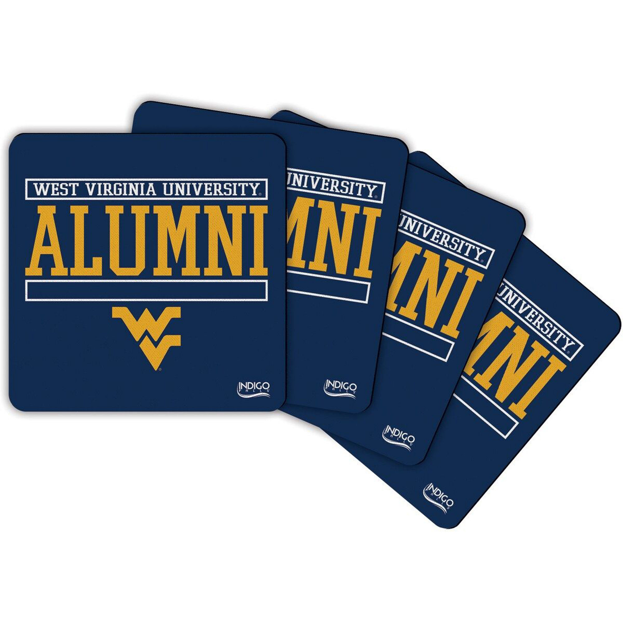 Indigo Falls Alumni Coaster