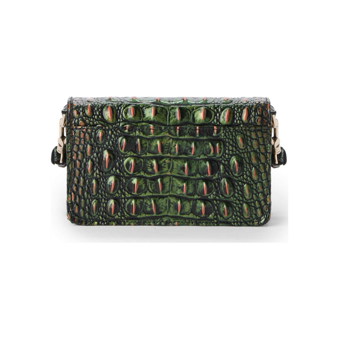 DSCO2008367924_reraaS_ALT2: